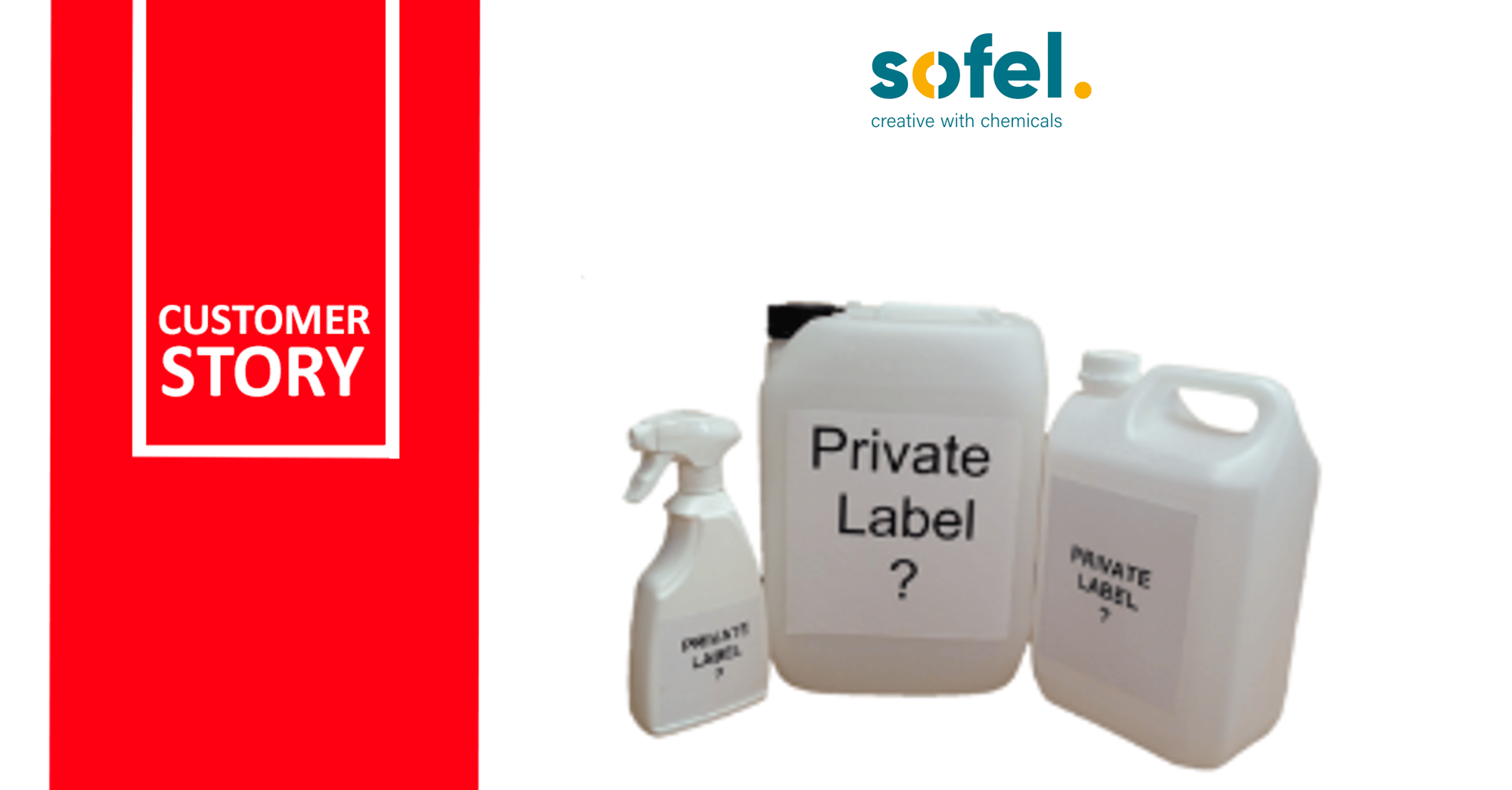 NETRONIC customer story Sofel