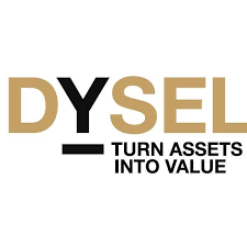 Logo - dysel