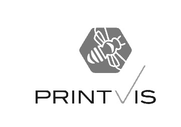 printvis logo_transparent